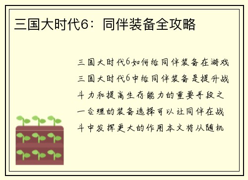 三国大时代6：同伴装备全攻略